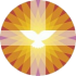 Logo_pkn